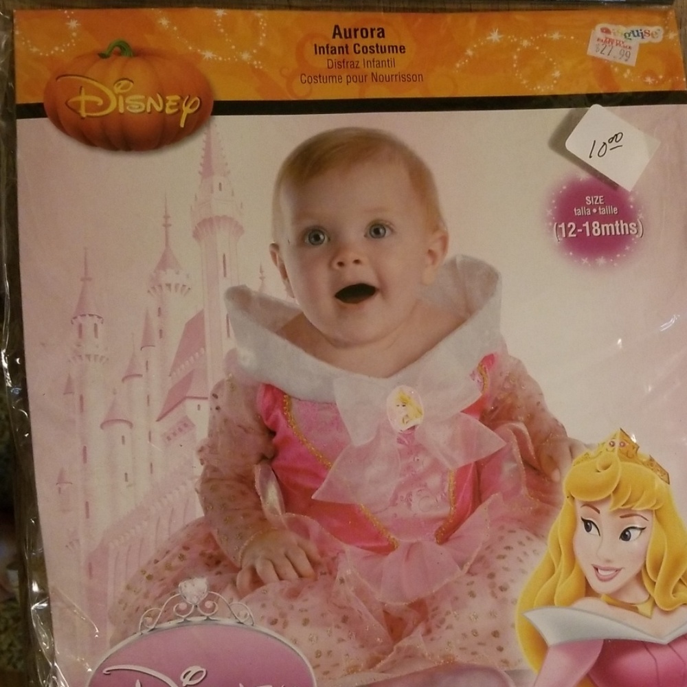 Princess Aurora Costume